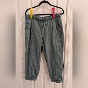 Torrid Tru nylon pants WORN ONCE